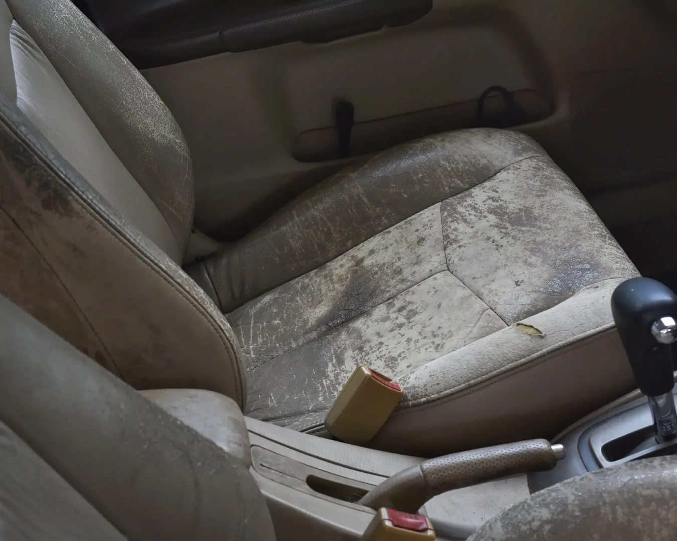 Interior-Detailing.jpg (2)